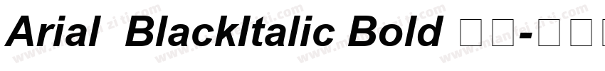 Arial  BlackItalic Bold 粗体字体转换